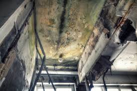 Mold Documentation for Insurance Claims in Highland Park, TX